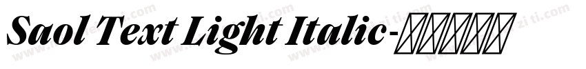 Saol Text Light Italic字体转换